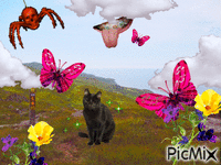My lovely hike - Free animated GIF
