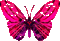 Glitter deco gif image papillon Irena - Free animated GIF Animated GIF